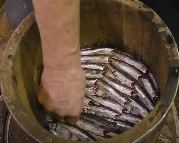 Колатура ди Аличи Colatura di Alici соленый соус из хамсы (анчоусов)