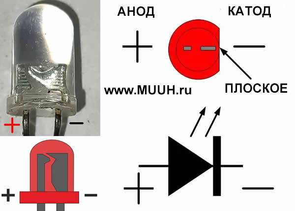 Светодиод цоколевка Где у светодиода плюс и минус